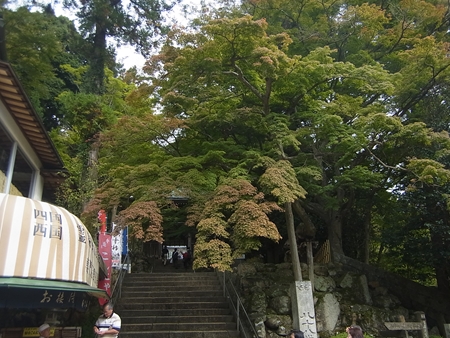 久しぶりに大窪寺へ _e0201281_15392922.jpg