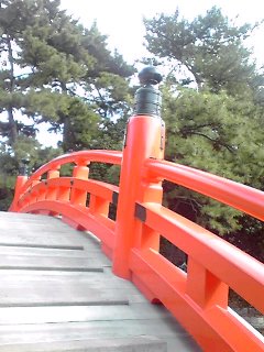 b0245782_228589.jpg
