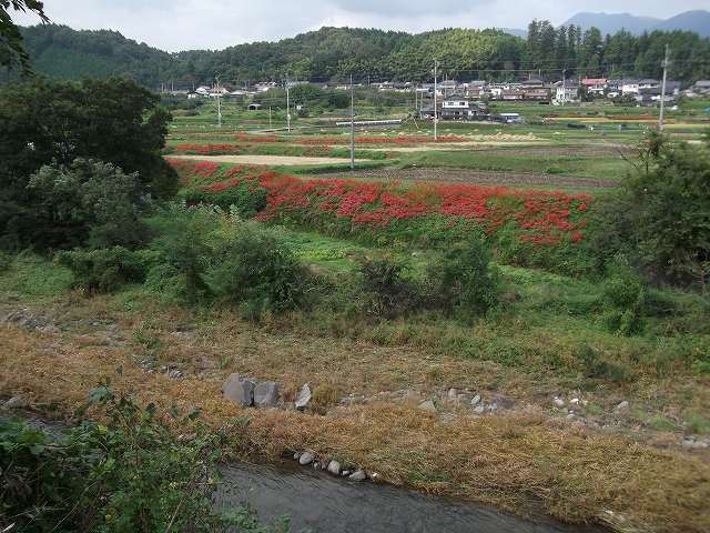c0212083_22371046.jpg