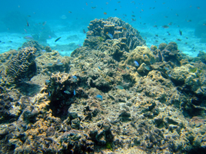 ラチャノイ島、綺麗です!!_f0144385_7251910.jpg