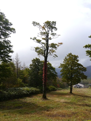 b0175688_03113.jpg