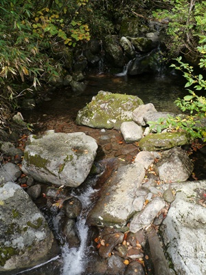 b0175688_06798.jpg