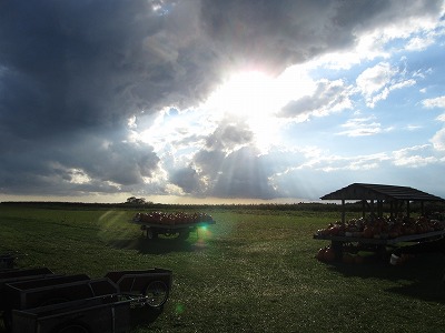 b0209691_151143.jpg