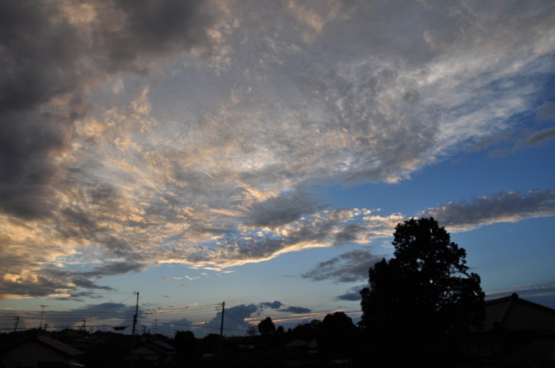 d0021491_6583976.jpg
