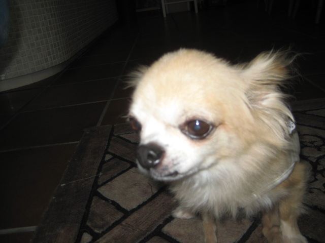 f0220497_848049.jpg