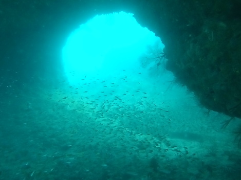9/23 白浜ツアー_e0115199_16391623.jpg