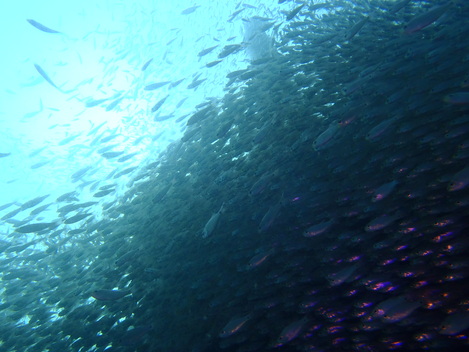 9/23 白浜ツアー_e0115199_17503937.jpg
