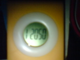 c0202101_00485.jpg