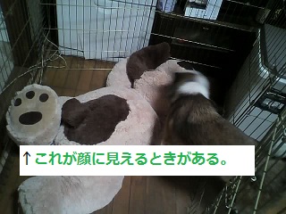 f0109202_1138934.jpg