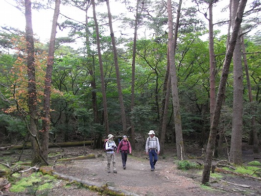 f0187402_9231357.jpg