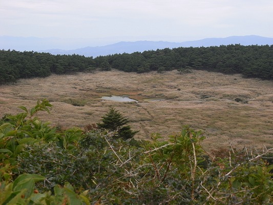 f0187402_924131.jpg