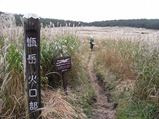 f0187402_9243059.jpg