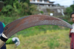 a0117603_04207.jpg