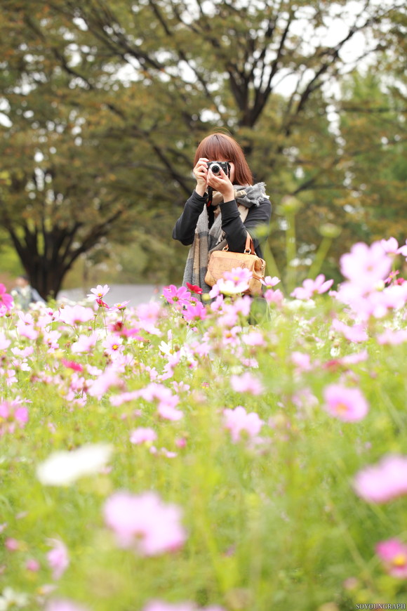 昭和記念公園のCOSMOS。_e0262305_017344.jpg