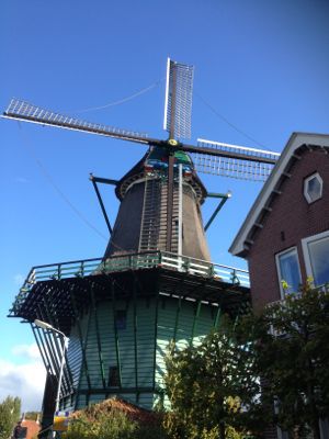 a0088007_545531.jpg