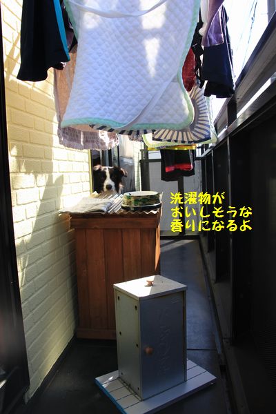d0224111_10575687.jpg