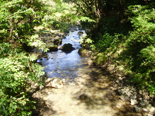 f0153112_1846818.jpg
