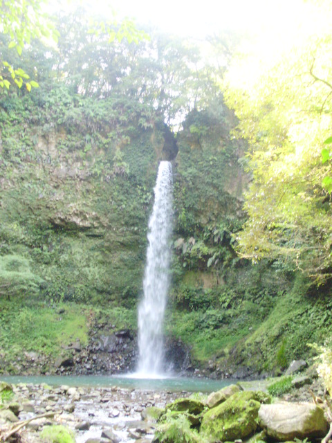 f0153112_18474337.jpg