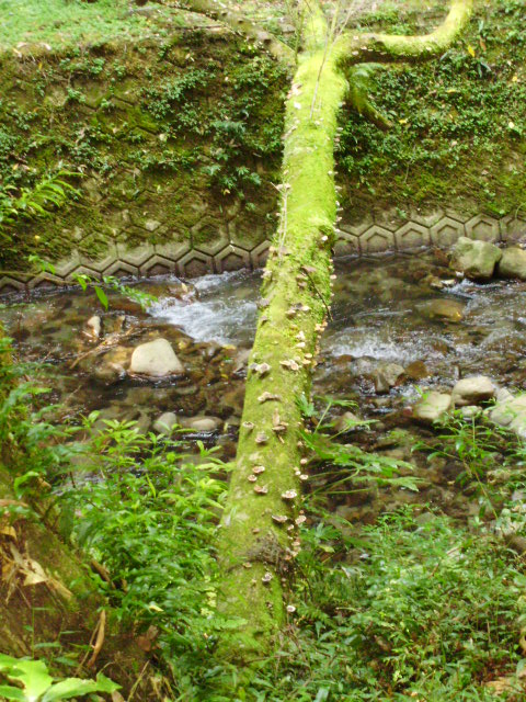f0153112_18494287.jpg