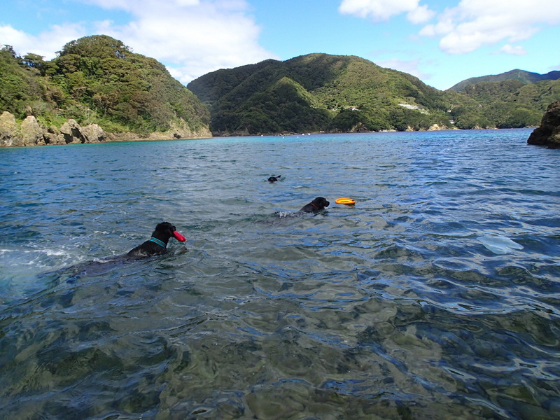 富士山から西伊豆へ③_a0090313_2071639.jpg