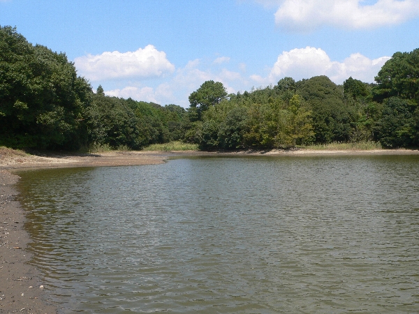 e0002314_16574870.jpg