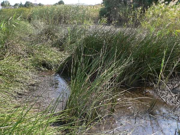e0002314_16575637.jpg