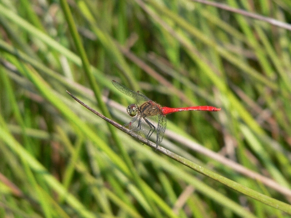 e0002314_1702648.jpg