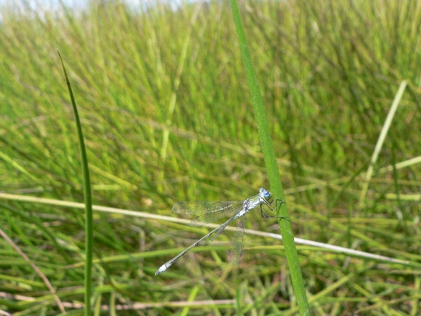 e0002314_1704971.jpg