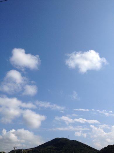 d0143915_8571067.jpg