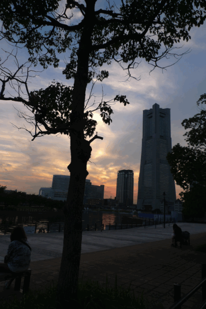 e0157816_13531925.gif