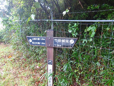 e0224118_17232446.jpg