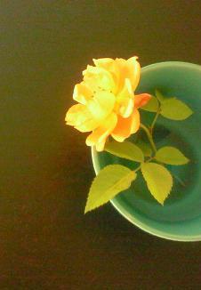 c0097620_21344273.jpg