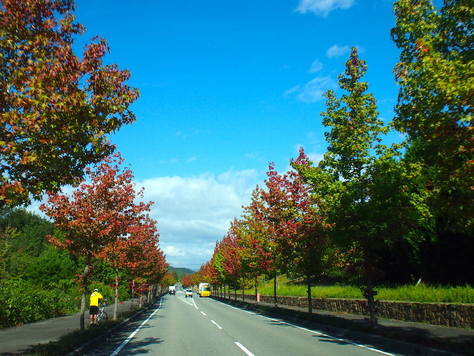 e0294721_2333990.jpg