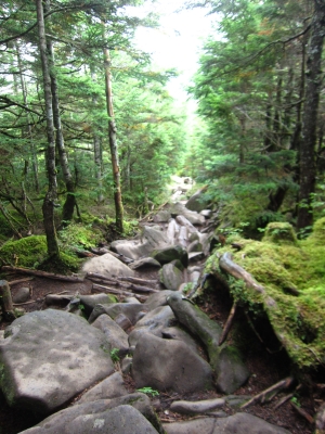 f0177521_11104753.jpg