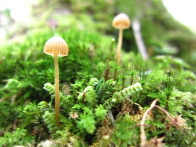 f0177521_11184590.jpg