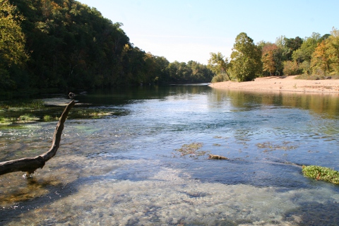 Ozark National Scenic Riverways_a0097322_7542957.jpg