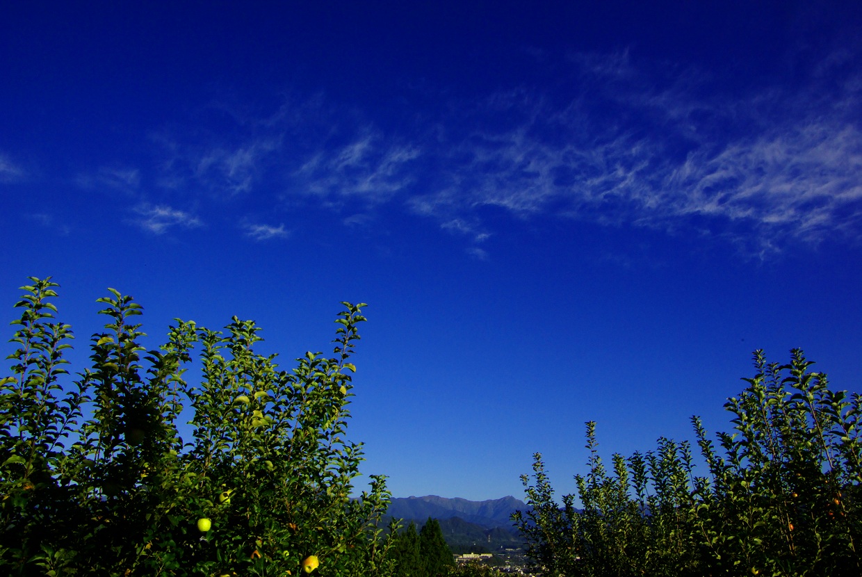 b0062024_7351431.jpg