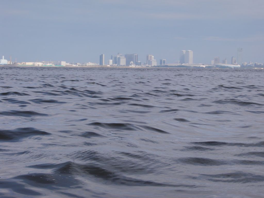 b0173629_1047410.jpg