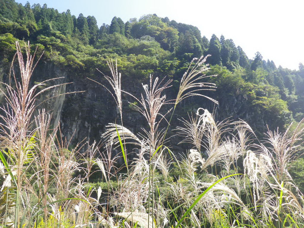 f0000330_17143397.jpg