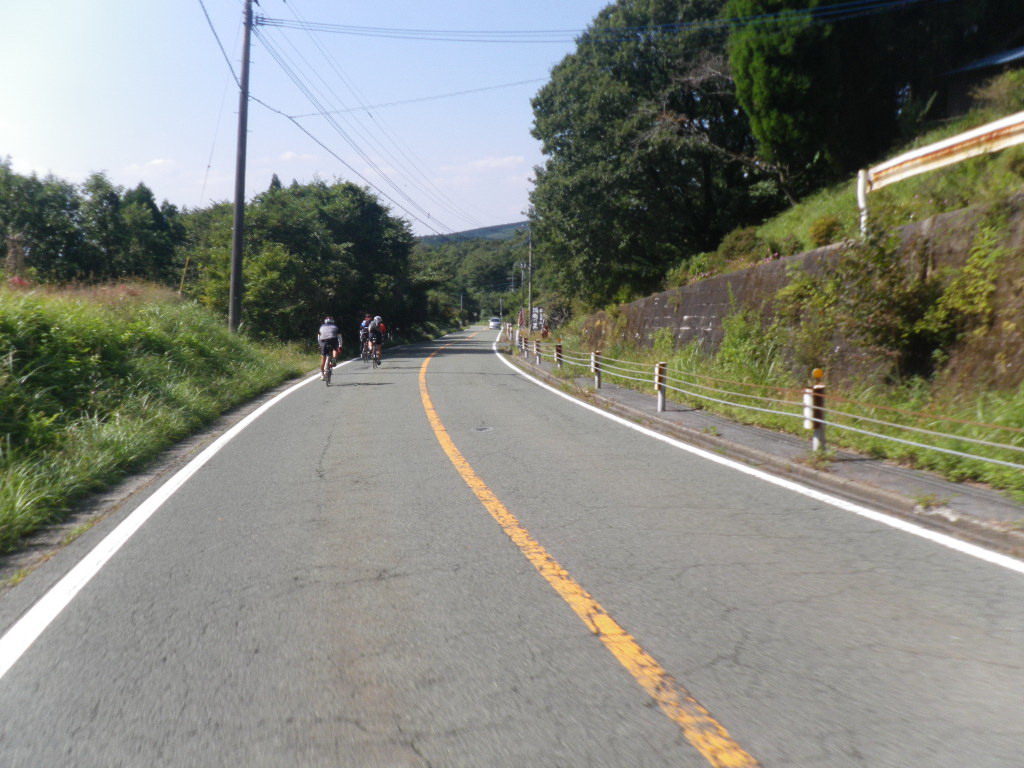 f0000330_172777.jpg