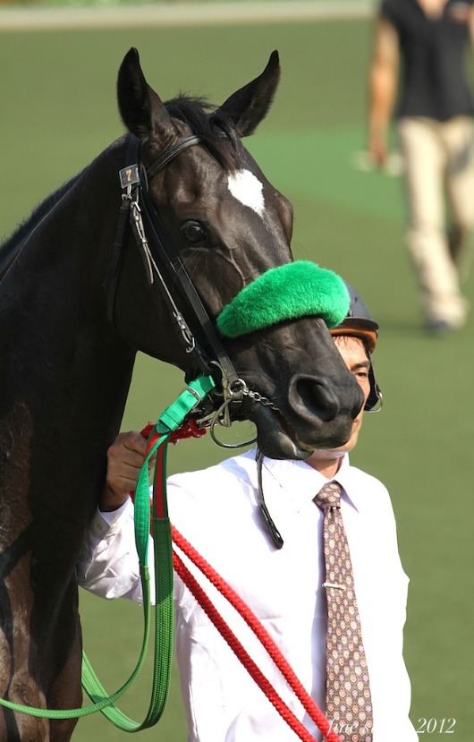 10.8  土曜日のレースから_c0240132_6491381.jpg