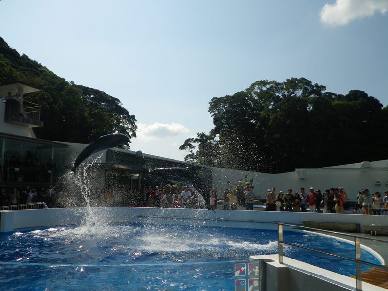 a0272033_2132823.jpg