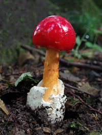 f0108133_7193744.jpg