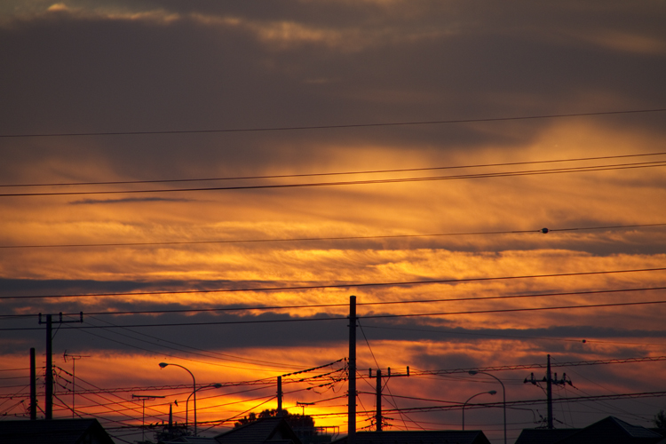 a0229634_7574786.jpg