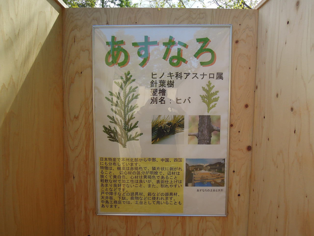 「森林植物園　秋楽祭」_e0178337_19554217.jpg