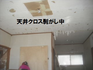 16.5日目の作業_f0031037_2122748.jpg