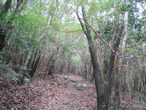 c0077338_6453864.jpg
