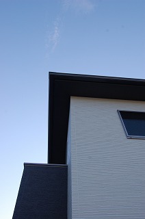 b0082242_8135849.jpg