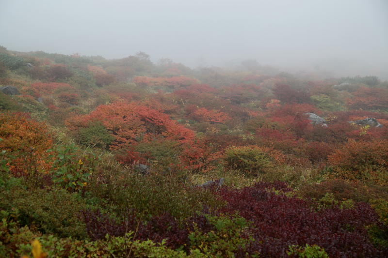 那須茶臼岳　紅葉　2012　その1_b0168647_1432764.jpg