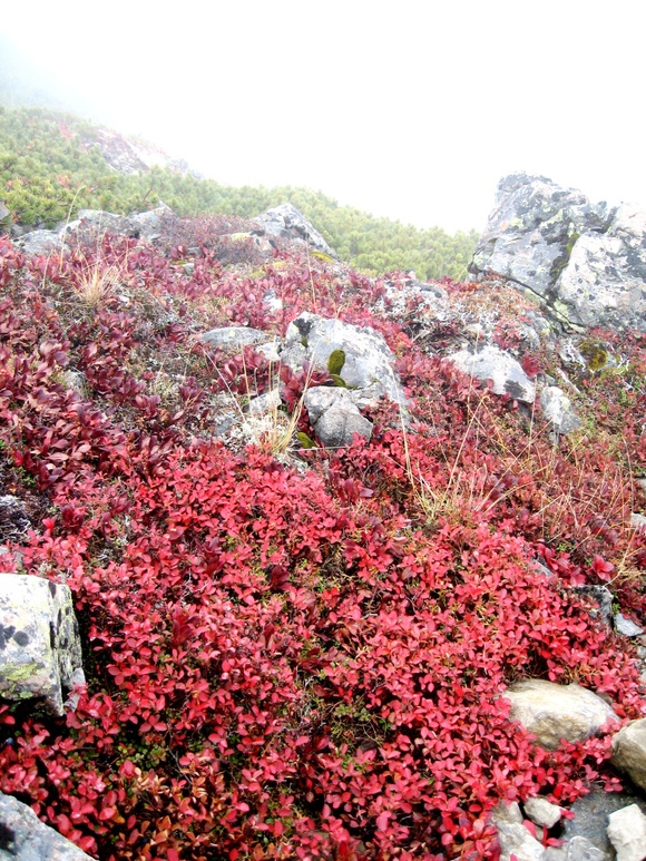 f0043750_20535345.jpg